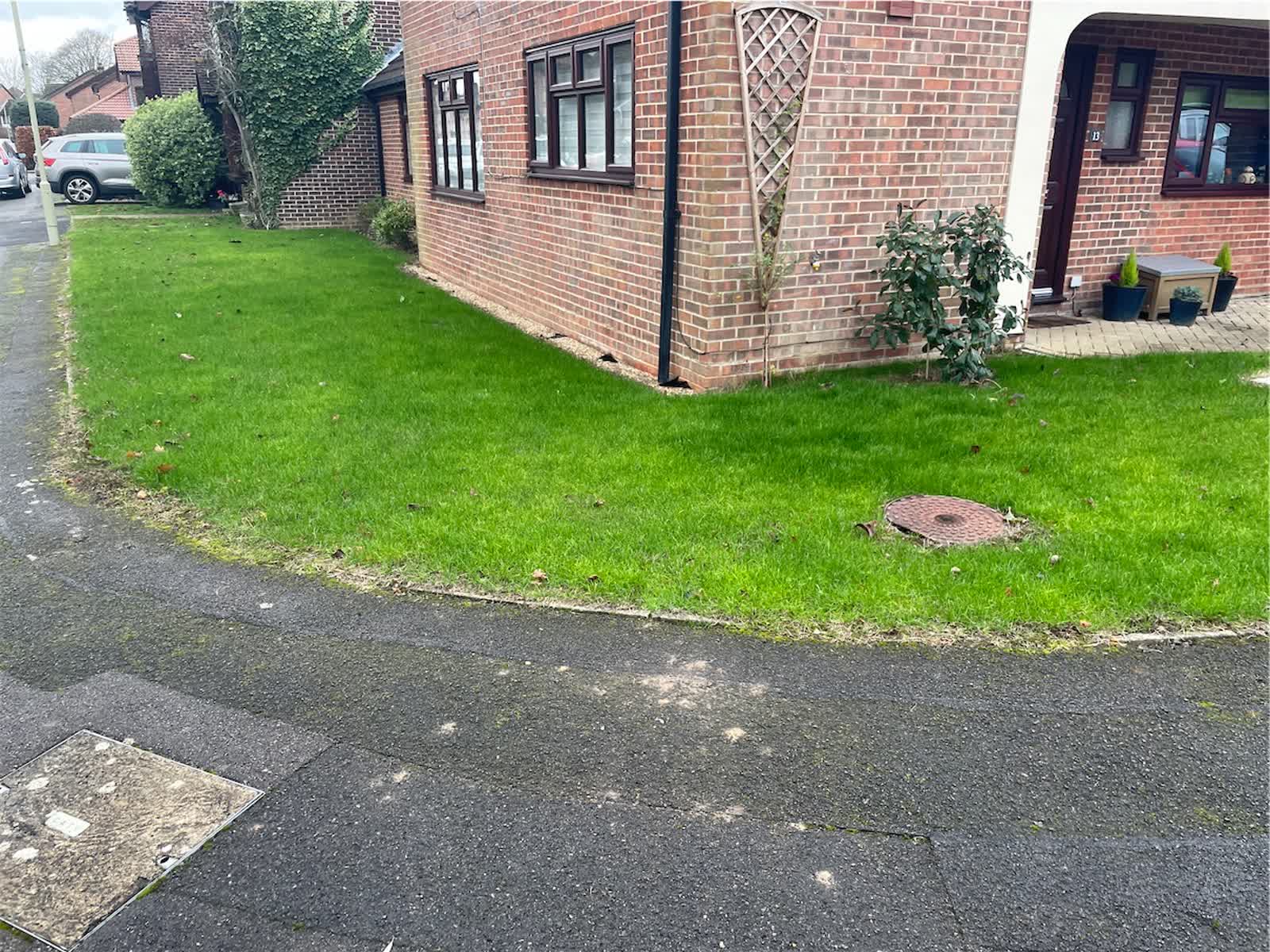 The same garden lawn after a full Shrekfeet autumn renovation: thick, striped, uniform green turf